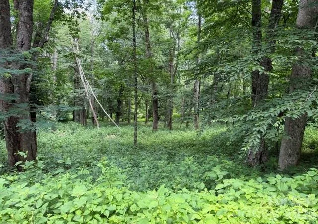 Photo 3 of Land for sale at Lot 6 Gadohi Trl #6, Maggie Valley, NC 28751 | MLS# 4398194 | Listing updated on 2026-06-27