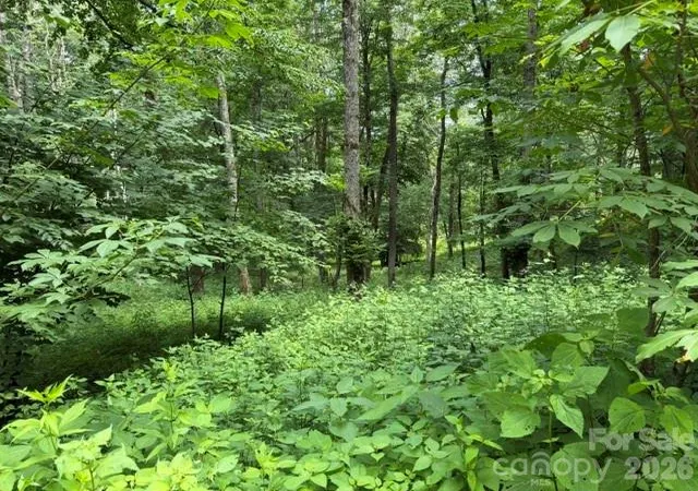 Photo 4 of Land for sale at Lot 6 Gadohi Trl #6, Maggie Valley, NC 28751 | MLS# 4398194 | Listing updated on 2026-06-27