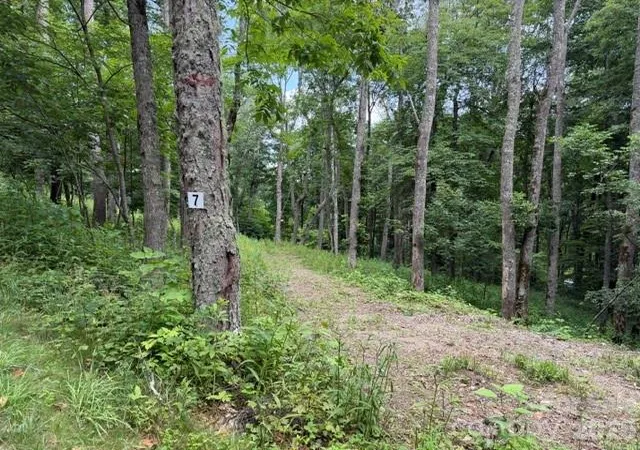 Photo 1 of Land for sale at Lot 7 Gadohi Trl #7, Maggie Valley, NC 28751 | MLS# 4398238 | Listing updated on 2026-06-27