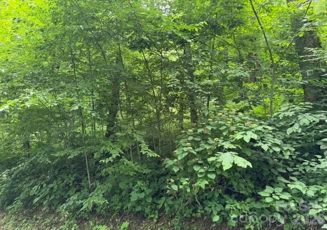 Photo 2 of Land for sale at Lot 19 Iga Trl #19, Maggie Valley, NC 28751 | MLS# 4398243 | Listing updated on 2026-06-27