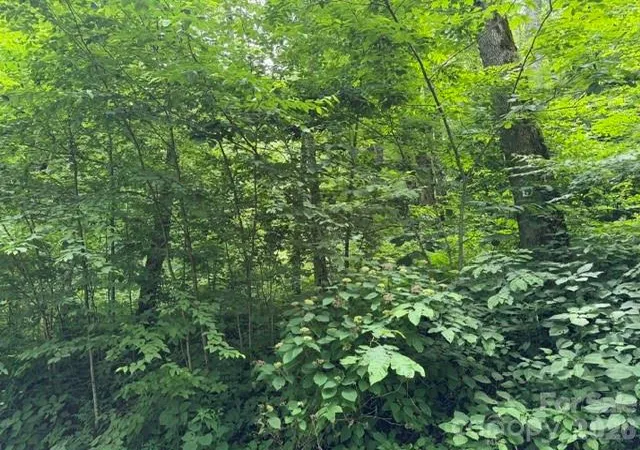 Photo 4 of Land for sale at Lot 19 Iga Trl #19, Maggie Valley, NC 28751 | MLS# 4398243 | Listing updated on 2026-06-27
