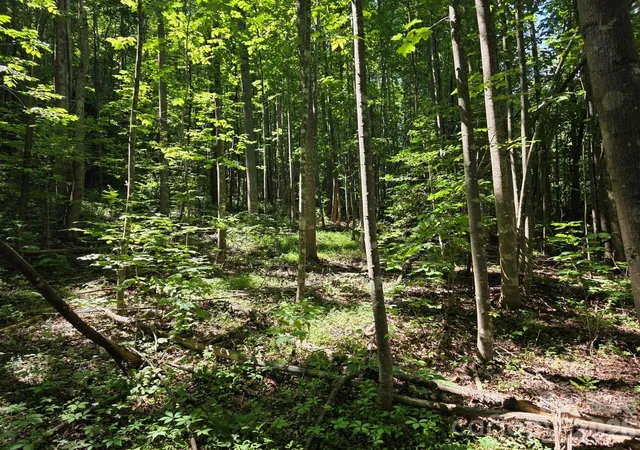 Photo 3 of Land for sale at Lot 45 S View Ct, Marion, NC 28752 | MLS# 4398255 | Listing updated on 2026-07-07