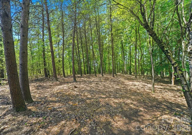 4th image of 1324 Reflection Pointe Blvd, Belmont, NC 28012 | MLS# 4398269