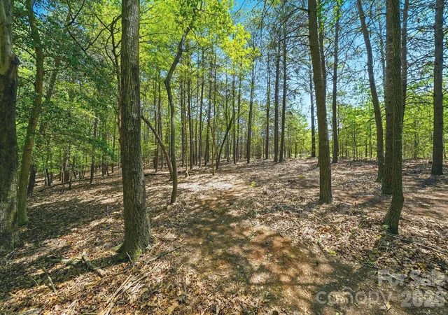 5th image of 1324 Reflection Pointe Blvd, Belmont, NC 28012 | MLS# 4398269