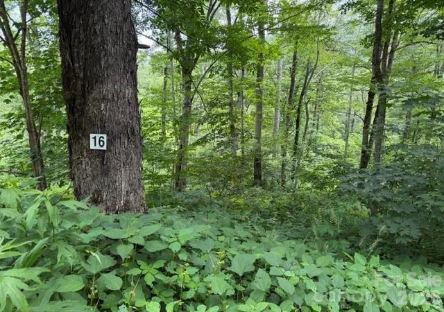 Photo 1 of Land for sale at Lot 16 Iga Trl #16, Maggie Valley, NC 28751 | MLS# 4398292 | Listing updated on 2026-06-27