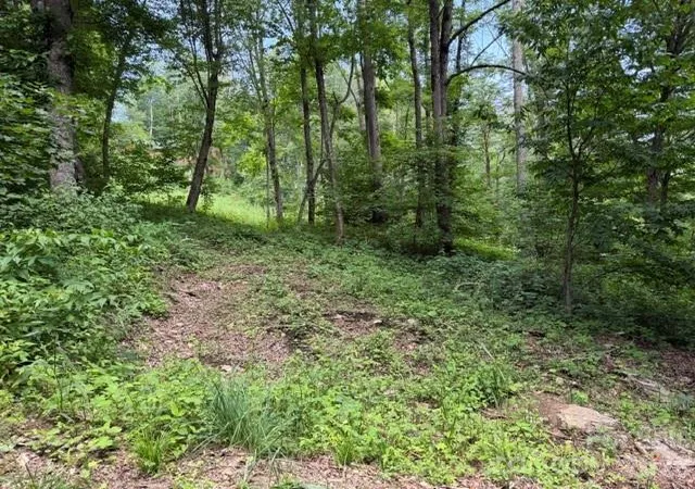 Photo 3 of Land for sale at Lot 16 Iga Trl #16, Maggie Valley, NC 28751 | MLS# 4398292 | Listing updated on 2026-06-27