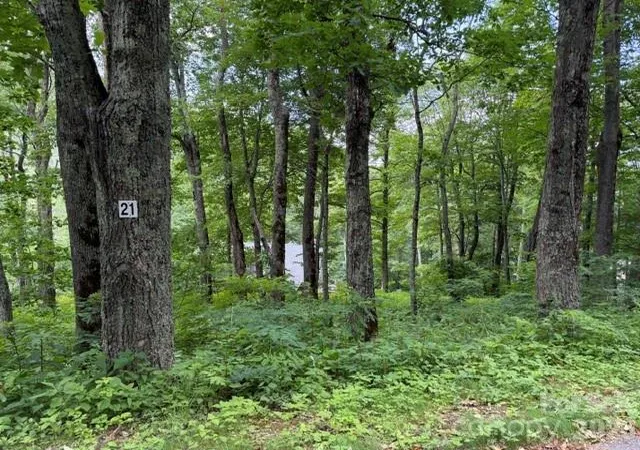 Photo 1 of Land for sale at Lot 21 Odalu Trl #21, Maggie Valley, NC 28751 | MLS# 4398313 | Listing updated on 2026-06-27