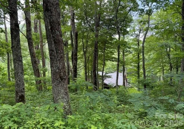 Photo 3 of Land for sale at Lot 21 Odalu Trl #21, Maggie Valley, NC 28751 | MLS# 4398313 | Listing updated on 2026-06-27