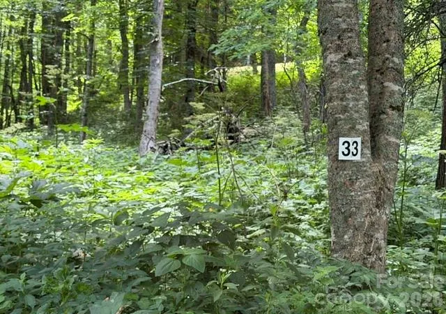 Photo 1 of Land for sale at Lot 33 Toi Trl #33, Maggie Valley, NC 28751 | MLS# 4398317 | Listing updated on 2026-06-27
