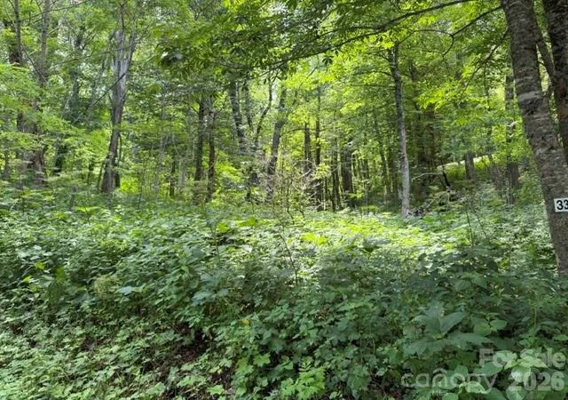 Photo 4 of Land for sale at Lot 33 Toi Trl #33, Maggie Valley, NC 28751 | MLS# 4398317 | Listing updated on 2026-06-27
