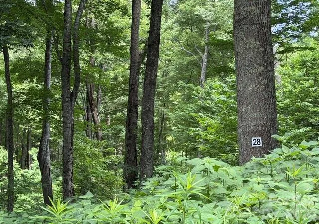 Photo 1 of Land for sale at Lot 28 Toi Trl #28, Maggie Valley, NC 28751 | MLS# 4398382 | Listing updated on 2026-06-27