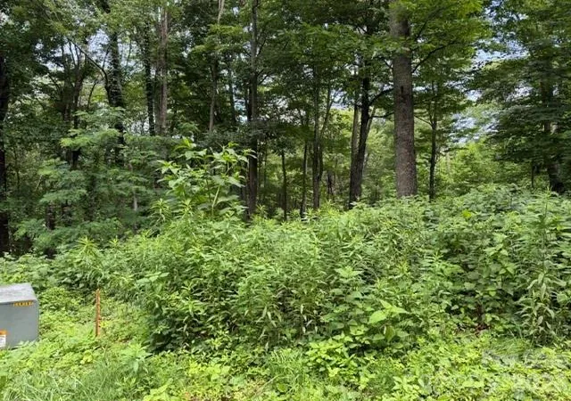 Photo 3 of Land for sale at Lot 28 Toi Trl #28, Maggie Valley, NC 28751 | MLS# 4398382 | Listing updated on 2026-06-27