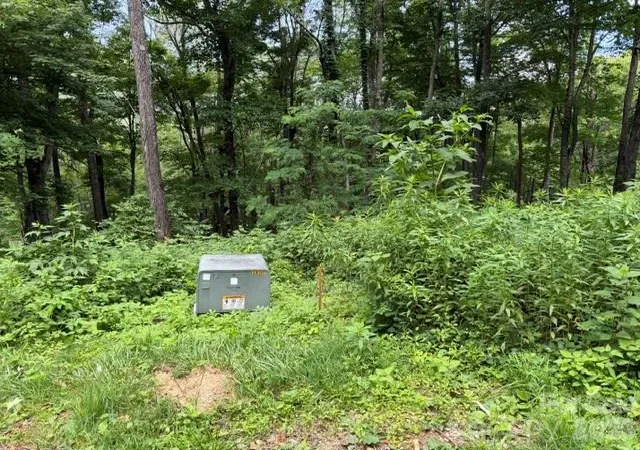 Photo 3 of Land for sale at Lot 28 Toi Trl #28, Maggie Valley, NC 28751 | MLS# 4398382 | Listing updated on 2026-06-27