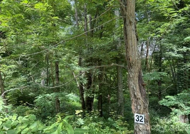 Photo 4 of Land for sale at Lot 32 Toi Trl #32, Maggie Valley, NC 28751 | MLS# 4398385 | Listing updated on 2026-06-27