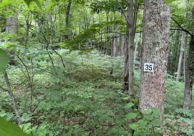 Photo 1 of Land for sale at Lot 35 Odalu Trl #35, Maggie Valley, NC 28751 | MLS# 4398390 | Listing updated on 2026-06-28