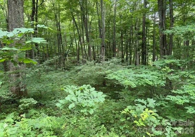 Photo 3 of Land for sale at Lot 35 Odalu Trl #35, Maggie Valley, NC 28751 | MLS# 4398390 | Listing updated on 2026-06-28