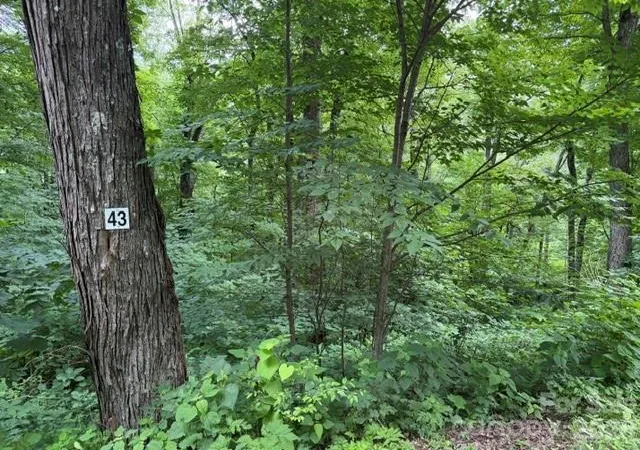Photo 1 of Land for sale at Lot 43 Gata Trl #43, Maggie Valley, NC 28751 | MLS# 4398399 | Listing updated on 2026-06-28