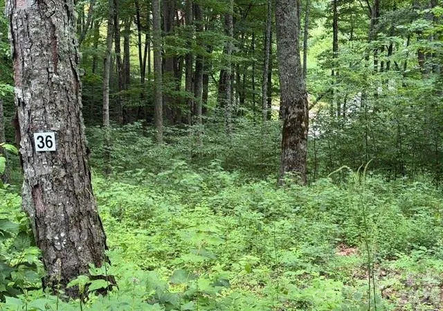 Photo 1 of Land for sale at Lot 36 Odalu Trl #36, Maggie Valley, NC 28751 | MLS# 4398420 | Listing updated on 2026-06-28