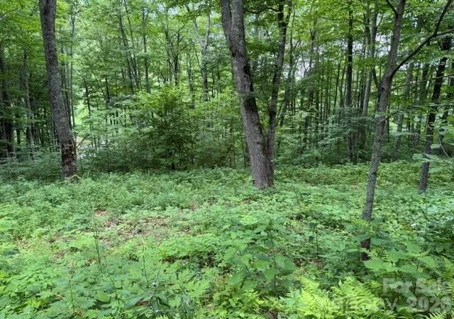 Photo 2 of Land for sale at Lot 36 Odalu Trl #36, Maggie Valley, NC 28751 | MLS# 4398420 | Listing updated on 2026-06-28