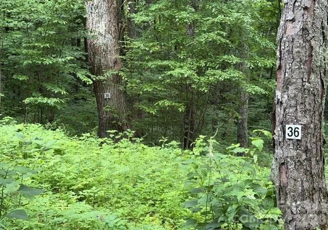 Photo 5 of Land for sale at Lot 36 Odalu Trl #36, Maggie Valley, NC 28751 | MLS# 4398420 | Listing updated on 2026-06-28