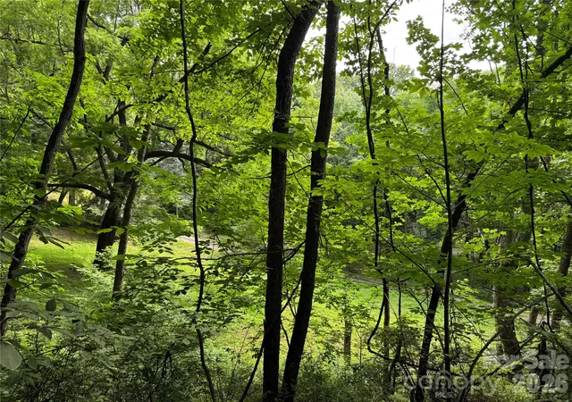 5th image of Lt 18 Silverbell Ln #18, Waynesville, NC 28786 | MLS# 4398425