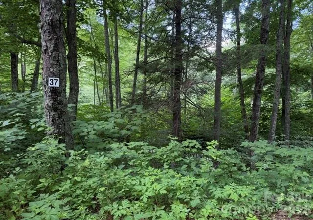Photo 1 of Land for sale at Lot 37 Odalu Trl #37, Maggie Valley, NC 28751 | MLS# 4398436 | Listing updated on 2026-06-28