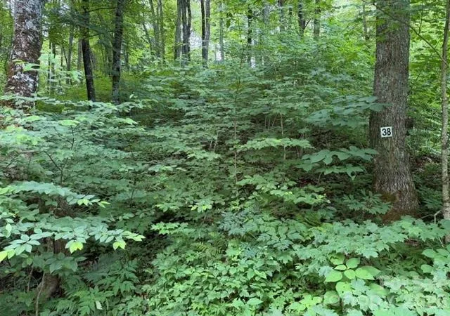 Photo 1 of Land for sale at Lot 38 Yanasa Trl #38, Maggie Valley, NC 28751 | MLS# 4398446 | Listing updated on 2026-06-28