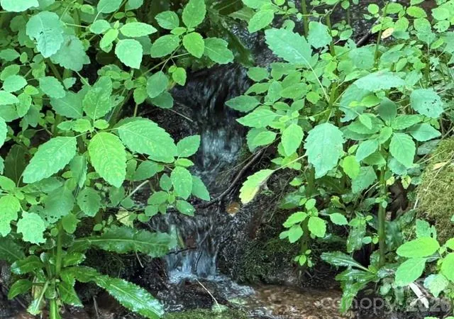 Photo 3 of Land for sale at Lot 38 Yanasa Trl #38, Maggie Valley, NC 28751 | MLS# 4398446 | Listing updated on 2026-06-28