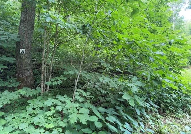 Photo 4 of Land for sale at Lot 38 Yanasa Trl #38, Maggie Valley, NC 28751 | MLS# 4398446 | Listing updated on 2026-06-28
