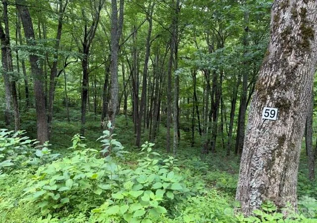 Photo 1 of Land for sale at Lot 59 Odalu Trl #59, Maggie Valley, NC 28751 | MLS# 4398469 | Listing updated on 2026-06-28