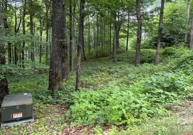 Photo 2 of Land for sale at Lot 59 Odalu Trl #59, Maggie Valley, NC 28751 | MLS# 4398469 | Listing updated on 2026-06-28