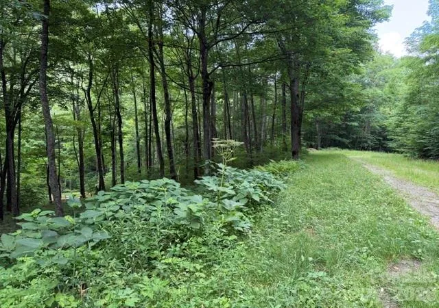 Photo 3 of Land for sale at Lot 59 Odalu Trl #59, Maggie Valley, NC 28751 | MLS# 4398469 | Listing updated on 2026-06-28