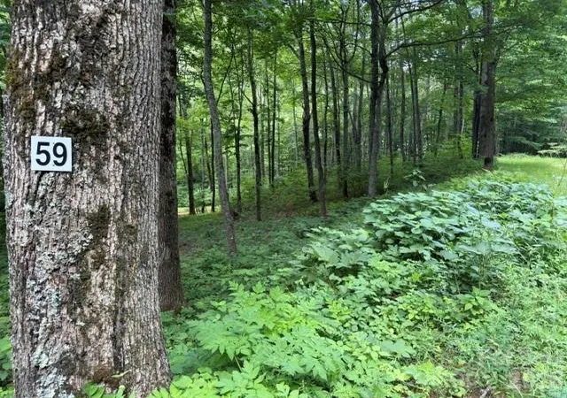 Photo 4 of Land for sale at Lot 59 Odalu Trl #59, Maggie Valley, NC 28751 | MLS# 4398469 | Listing updated on 2026-06-28