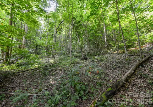 Land for sale at ### Board Tree Rd #1, Marshall, NC 28753 | MLS# 4398544