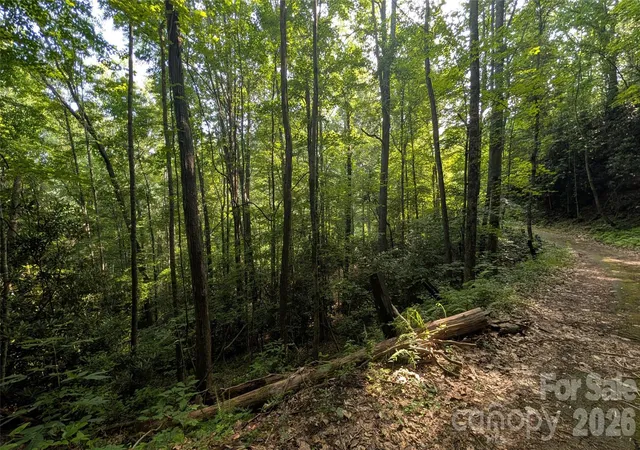 Photo 20 of Land for sale at 00 Chestnut Walk #3,4,5, Maggie Valley, NC 28751 | MLS# 4398630 | Listing updated on 2026-07-13