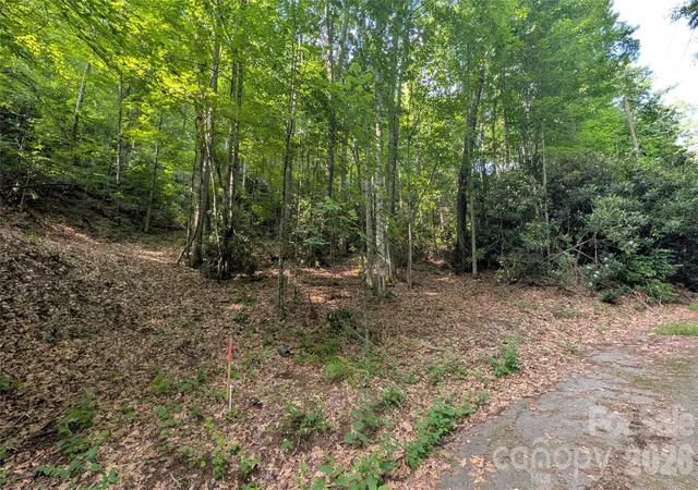 Photo 3 of Land for sale at 00 Chestnut Walk #3,4,5, Maggie Valley, NC 28751 | MLS# 4398630 | Listing updated on 2026-07-13