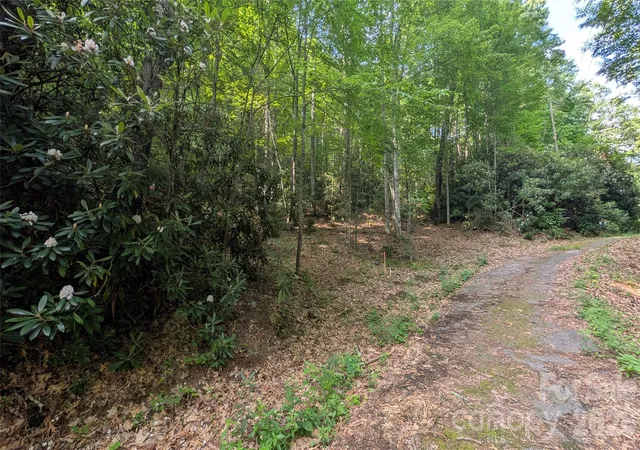 Photo 4 of Land for sale at 00 Chestnut Walk #3,4,5, Maggie Valley, NC 28751 | MLS# 4398630 | Listing updated on 2026-07-13
