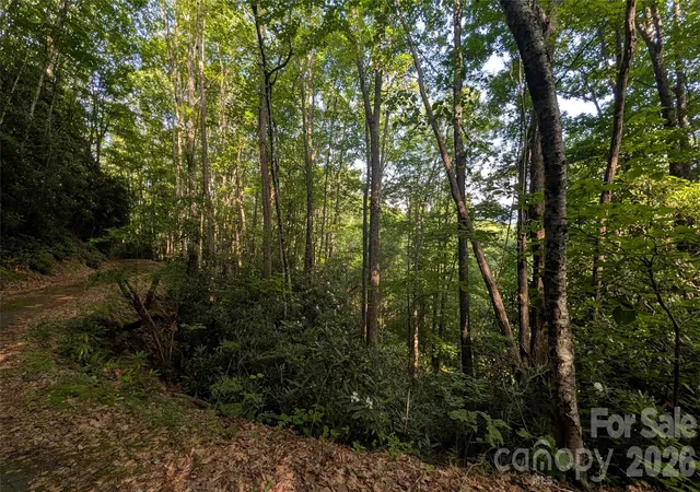 Photo 4 of Land for sale at 00 Chestnut Walk #6,7,8, Maggie Valley, NC 28751 | MLS# 4398650 | Listing updated on 2026-07-13