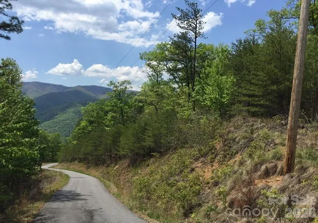 1st image of 225 Lucerne Dr, Canton, NC 28716 | MLS# 4398668