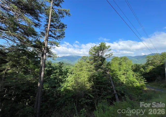 4th image of 225 Lucerne Dr, Canton, NC 28716 | MLS# 4398668