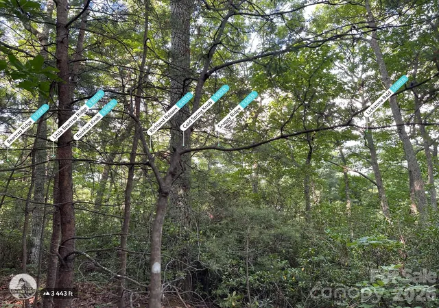 5th image of 225 Lucerne Dr, Canton, NC 28716 | MLS# 4398668