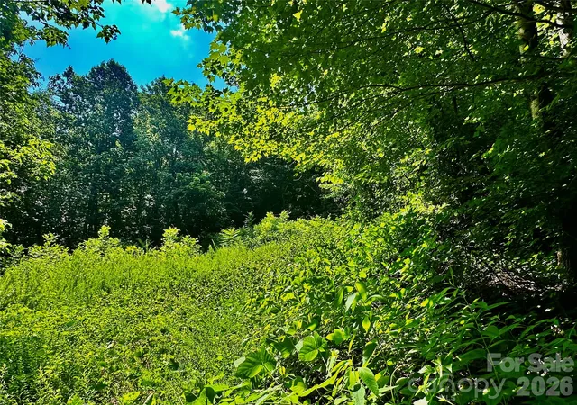 Homes for sale in Saluda, NC | 75 Fork Creek Rd, Saluda, NC 28773 | MLS# 4398672