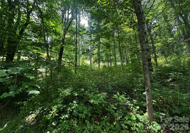 Homes for sale in Bakersville, NC | 0 Green Creek Rd, Bakersville, NC 28705 | MLS# 4398676