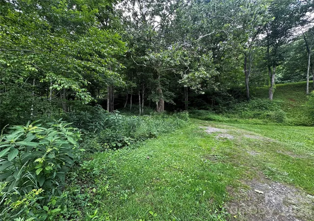 Homes for sale in Bakersville, NC | 0 Green Creek Rd, Bakersville, NC 28705 | MLS# 4398676