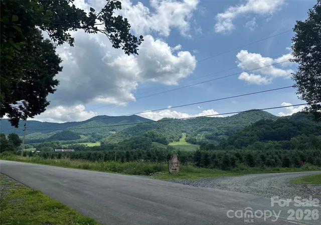 Homes for sale in Bakersville, NC | 0 Green Creek Rd, Bakersville, NC 28705 | MLS# 4398676