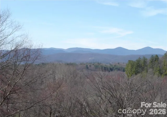 Homes for sale in Hendersonville, NC | Lot #12 Cummings Cove Pkwy #12, Hendersonville, NC 28739 | MLS# 4398677