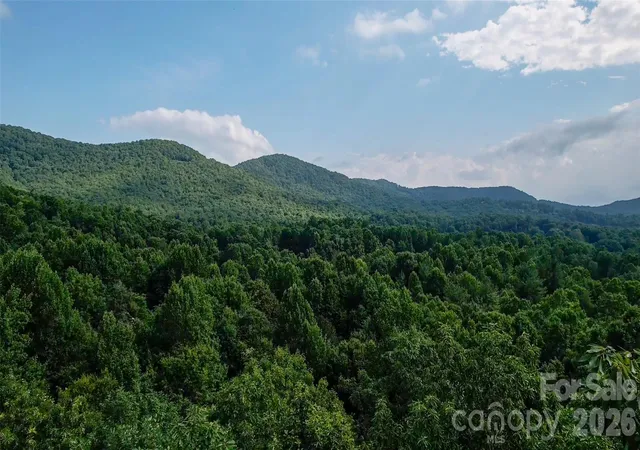 3rd image of 724 Streamside Dr, Arden, NC 28704 | MLS# 4398681