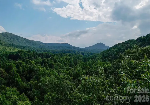 4th image of 724 Streamside Dr, Arden, NC 28704 | MLS# 4398681