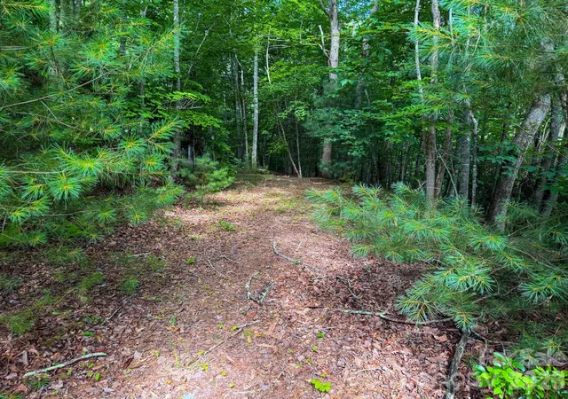 5th image of 724 Streamside Dr, Arden, NC 28704 | MLS# 4398681