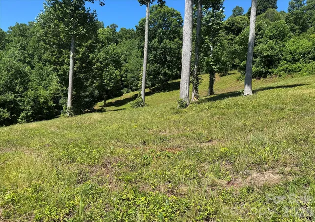 4th image of 00 Glen Haven Cvs, Hendersonville, NC 28792 | MLS# 4398697